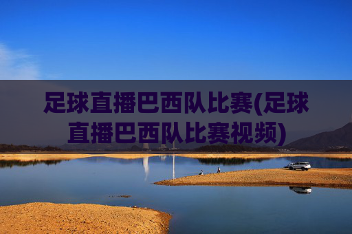 足球直播巴西队比赛(足球直播巴西队比赛视频)