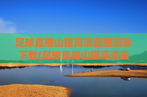 足球直播山猫高清直播回放下载(足球直播山猫高清直播回放下载安装)