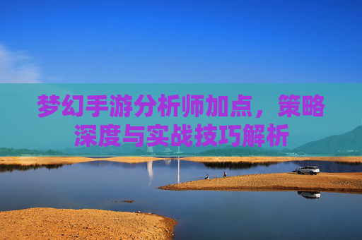 梦幻手游分析师加点，策略深度与实战技巧解析