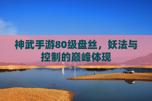 神武手游80级盘丝,妖法与控制的巅峰体现