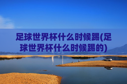 足球世界杯什么时候踢(足球世界杯什么时候踢的)