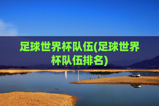 足球世界杯队伍(足球世界杯队伍排名)