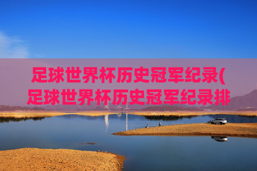 足球世界杯历史冠军纪录(足球世界杯历史冠军纪录排名)
