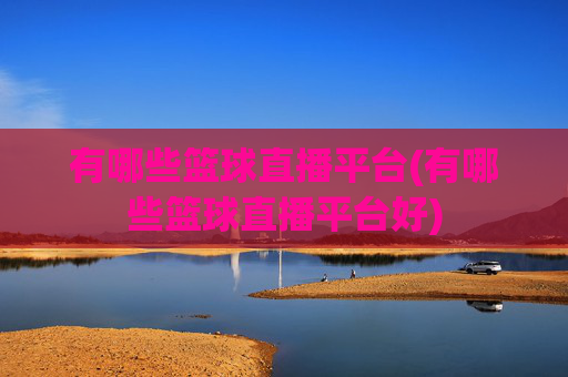 有哪些篮球直播平台(有哪些篮球直播平台好)