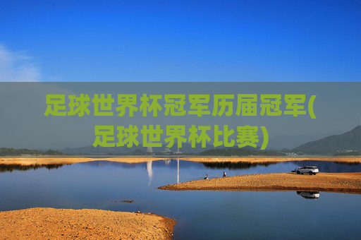 足球世界杯冠军历届冠军(足球世界杯比赛)