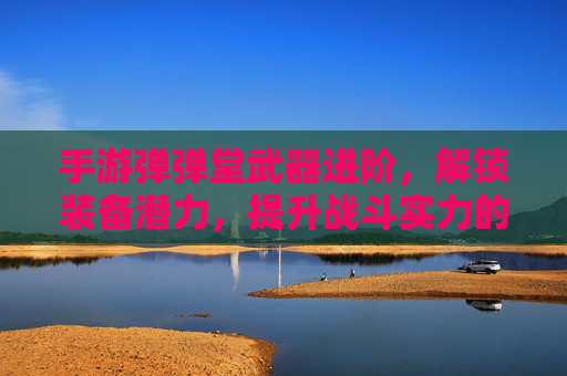 手游弹弹堂武器进阶,解锁装备潜力,提升战斗实力的关键路径