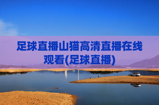 足球直播山猫高清直播在线观看(足球直播)