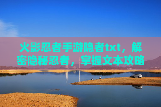火影忍者手游隐者txt,解密隐秘忍者,掌握文本攻略中的隐藏力量