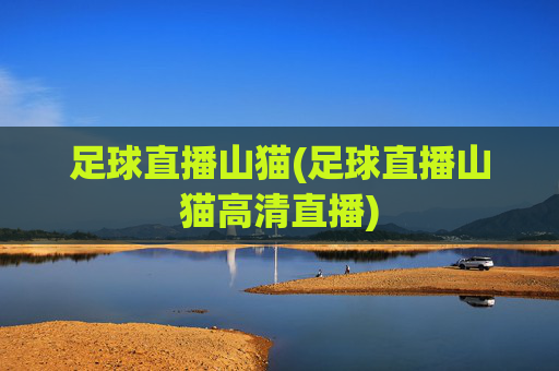 足球直播山猫(足球直播山猫高清直播)