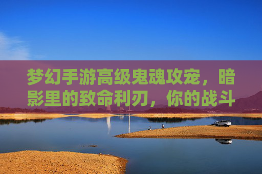 梦幻手游高级鬼魂攻宠，暗影里的致命利刃，你的战斗核心