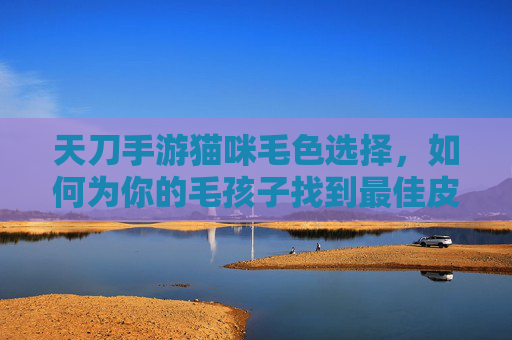 天刀手游猫咪毛色选择,如何为你的毛孩子找到最佳皮毛风格?天刀手游猫咪毛色选择,如何为你的毛孩子找到最佳皮毛风格?