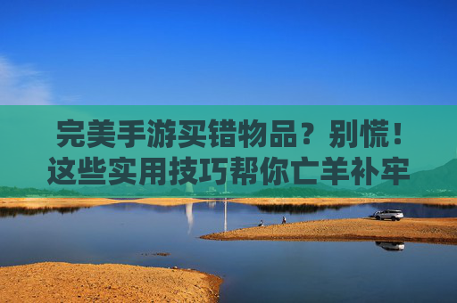 完美手游买错物品?别慌!这些实用技巧帮你亡羊补牢