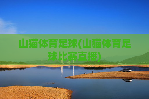 山猫体育足球(山猫体育足球比赛直播)