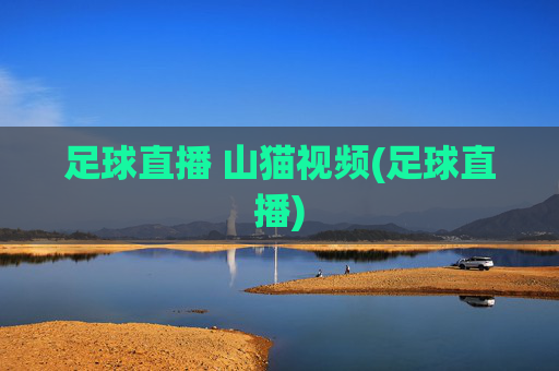 足球直播 山猫视频(足球直播)