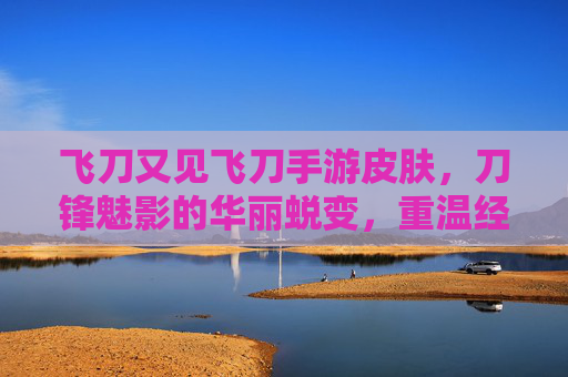 飞刀又见飞刀手游皮肤,刀锋魅影的华丽蜕变,重温经典与时尚的完美融合