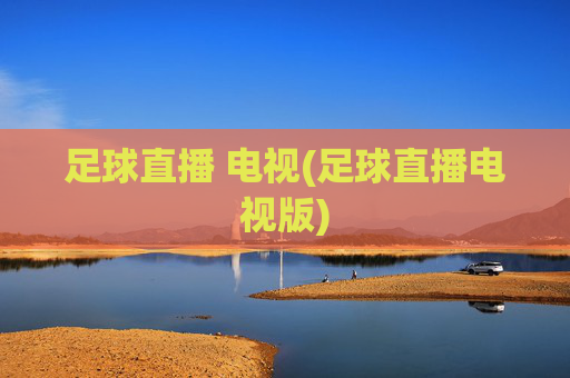 足球直播 电视(足球直播电视版)