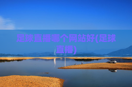 足球直播哪个网站好(足球直播)