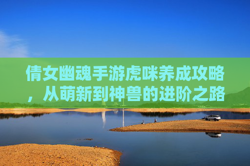 倩女幽魂手游虎咪养成攻略，从萌新到神兽的进阶之路