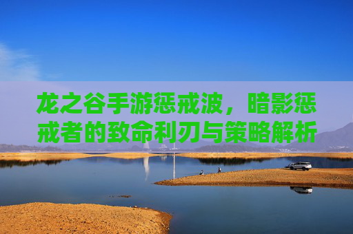 龙之谷手游惩戒波,暗影惩戒者的致命利刃与策略解析,龙之谷手游惩戒波,暗影惩戒者的致命利刃与策略解析