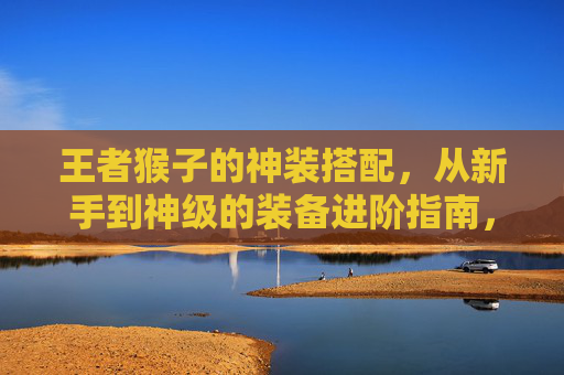 王者猴子的神装搭配，从新手到神级的装备进阶指南，王者猴子的神装搭配，从新手到神级的装备进阶指南