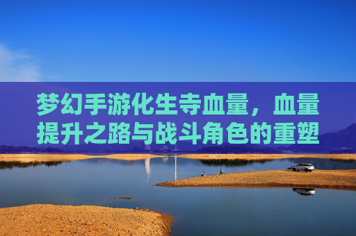 梦幻手游化生寺血量,血量提升之路与战斗角色的重塑,梦幻手游化生寺血量提升之路与战斗角色重塑
