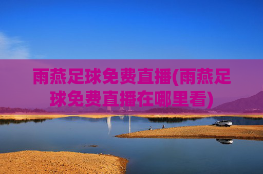 雨燕足球免费直播(雨燕足球免费直播在哪里看)