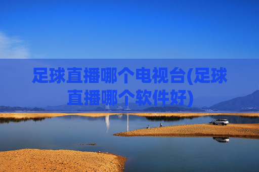 足球直播哪个电视台(足球直播哪个软件好)