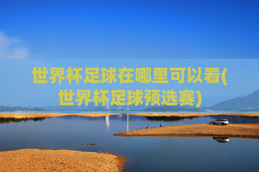 世界杯足球在哪里可以看(世界杯足球预选赛)