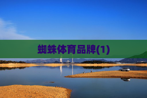 蜘蛛体育品牌(1)
