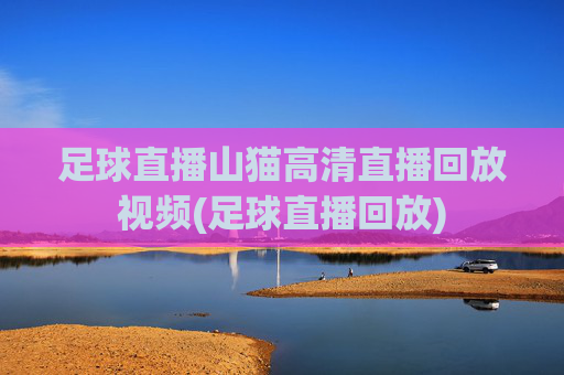 足球直播山猫高清直播回放视频(足球直播回放)