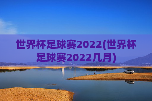 世界杯足球赛2022(世界杯足球赛2022几月)