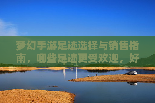 梦幻手游足迹选择与销售指南，哪些足迹更受欢迎，好卖？