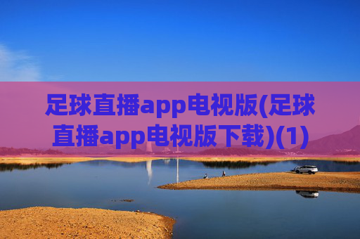 足球直播app电视版(足球直播app电视版下载)(1)