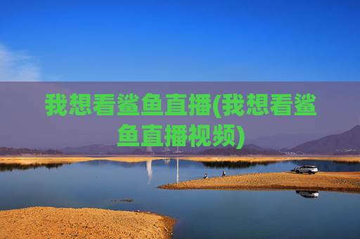 我想看鲨鱼直播(我想看鲨鱼直播视频)