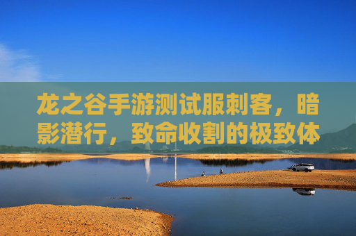 龙之谷手游测试服刺客,暗影潜行,致命收割的极致体验