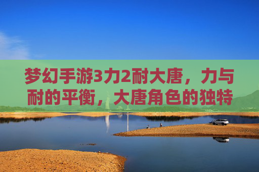 梦幻手游3力2耐大唐,力与耐的平衡,大唐角色的独特魅力与实战策略