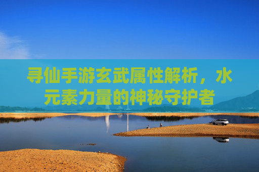 寻仙手游玄武属性解析,水元素力量的神秘守护者