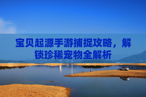 宝贝起源手游捕捉攻略，解锁珍稀宠物全解析