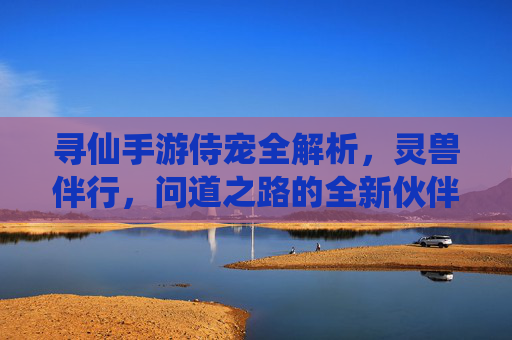 寻仙手游侍宠全解析,灵兽伴行,问道之路的全新伙伴