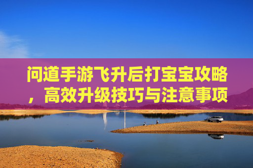 问道手游飞升后打宝宝攻略,高效升级技巧与注意事项