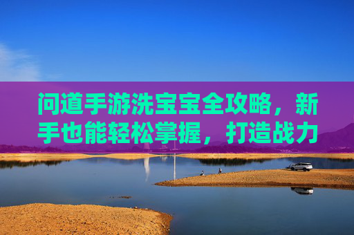 问道手游洗宝宝全攻略,新手也能轻松掌握,打造战力飙升的神级宝宝!