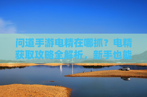 问道手游电精在哪抓？电精获取攻略全解析，新手也能轻松上手！