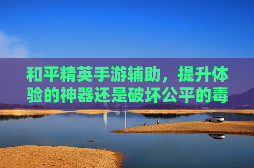和平精英手游辅助,提升体验的神器还是破坏公平的毒药?——解析游戏辅助的利与弊