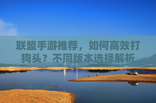 联盟手游推荐,如何高效打狗头?不同版本选择解析