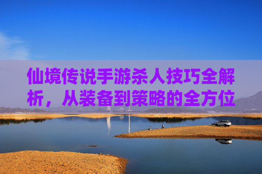 仙境传说手游杀人技巧全解析,从装备到策略的全方位指南