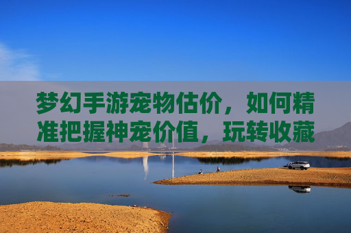 梦幻手游宠物估价，如何精准把握神宠价值，玩转收藏与交易