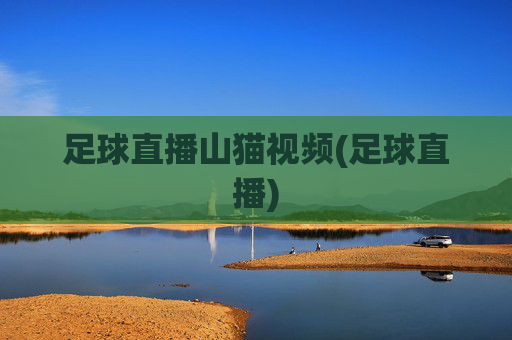 足球直播山猫视频(足球直播)