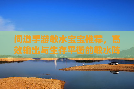 问道手游敏水宝宝推荐,高效输出与生存平衡的敏水阵容解析,问道手游敏水宝宝推荐,高效输出与生存平衡的敏水阵容解析