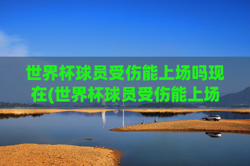 世界杯球员受伤能上场吗现在(世界杯球员受伤能上场吗现在怎么样)