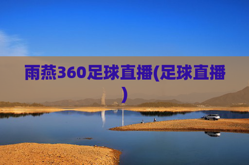 雨燕360足球直播(足球直播)